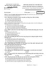 Đề thi Học kì 1 Lịch sử 11 năm 2024-2025 trường THPT Lê Hồng Phong (Đắk Lắk)